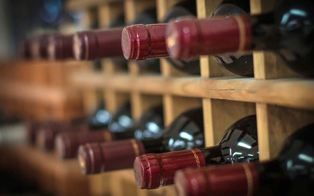 Prova de Vinhos Portugueses Comentada por Enólogo